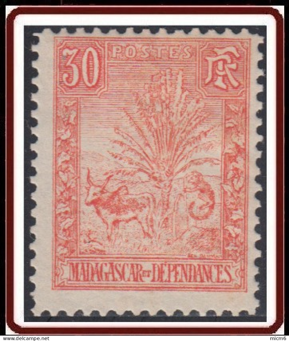 Madagascar 1889-1906 - N° 71 (YT) N° 66 (AM) Neuf *. - Nuovi