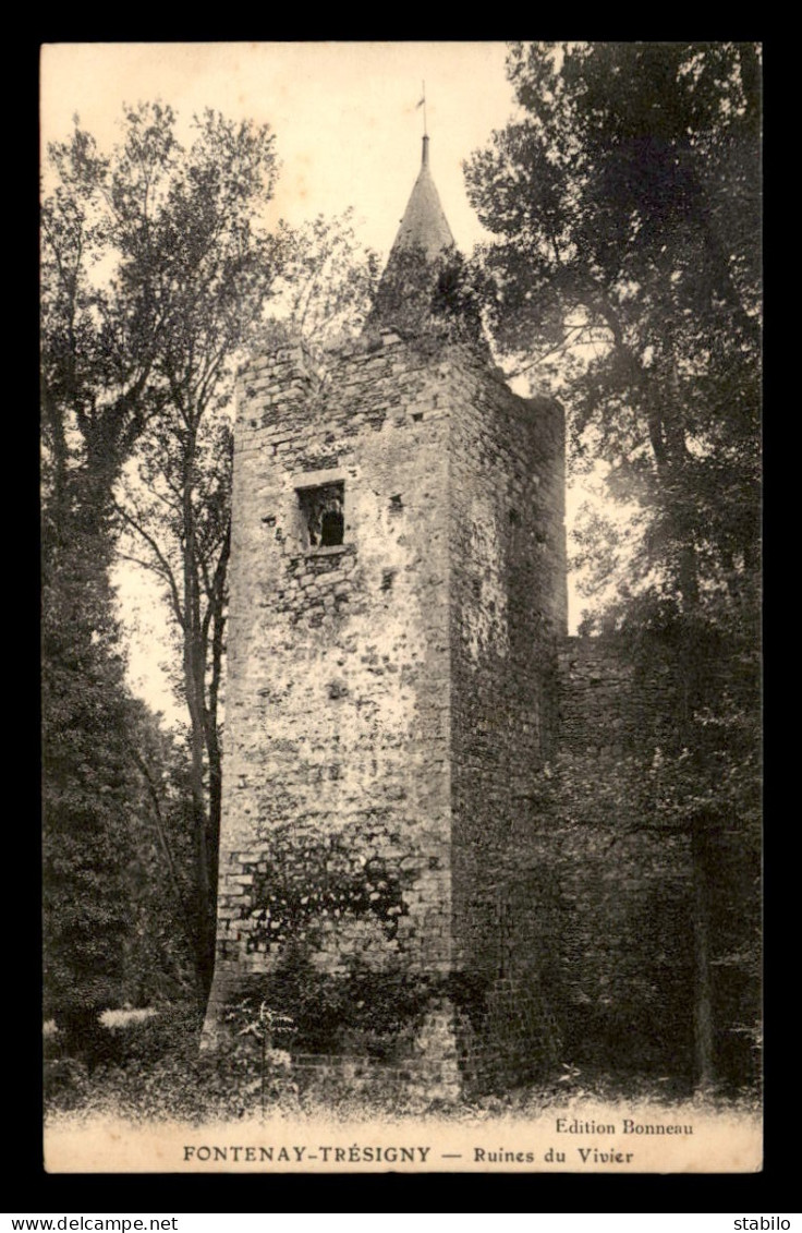 77 - FONTENAY-TRESIGNY - RUINES DU VIVIER - Fontenay Tresigny