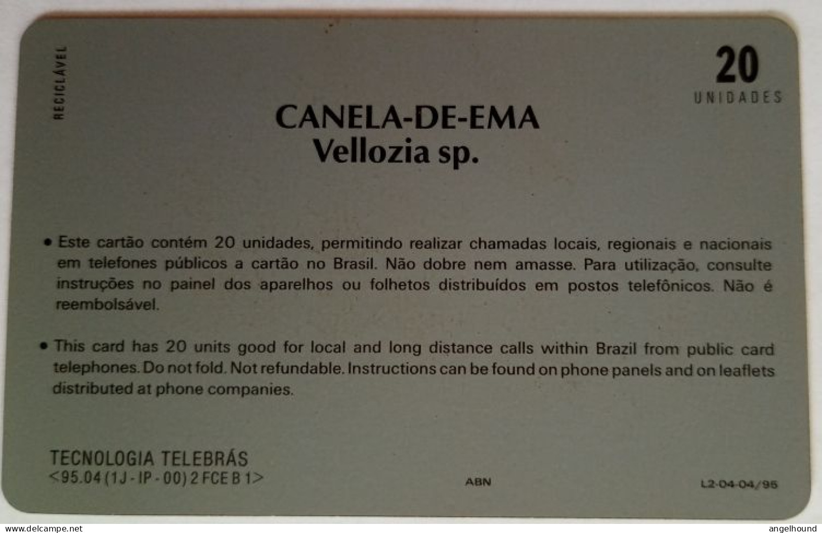 Brazil 20 Units -Canela-De-Ema Vellozia Sp. - Brésil