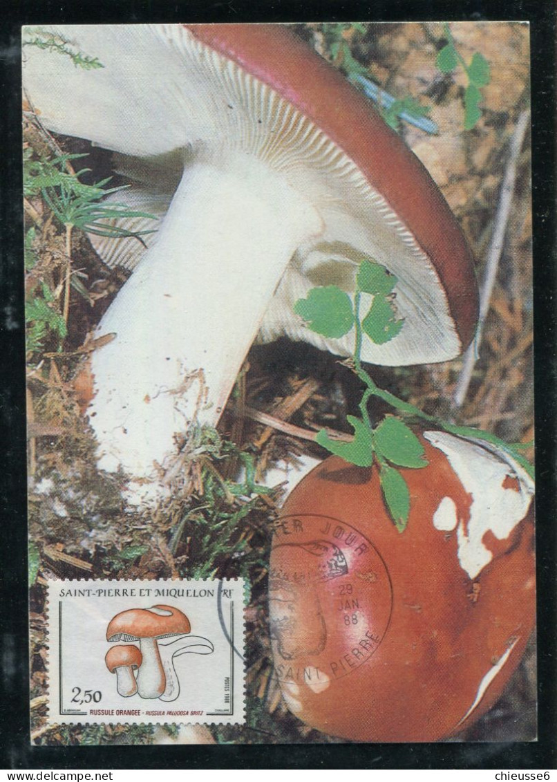 Saint Pierre Et Miquelon CM - Champignons 1988 - 1989 - 1990 - Maximumkaarten