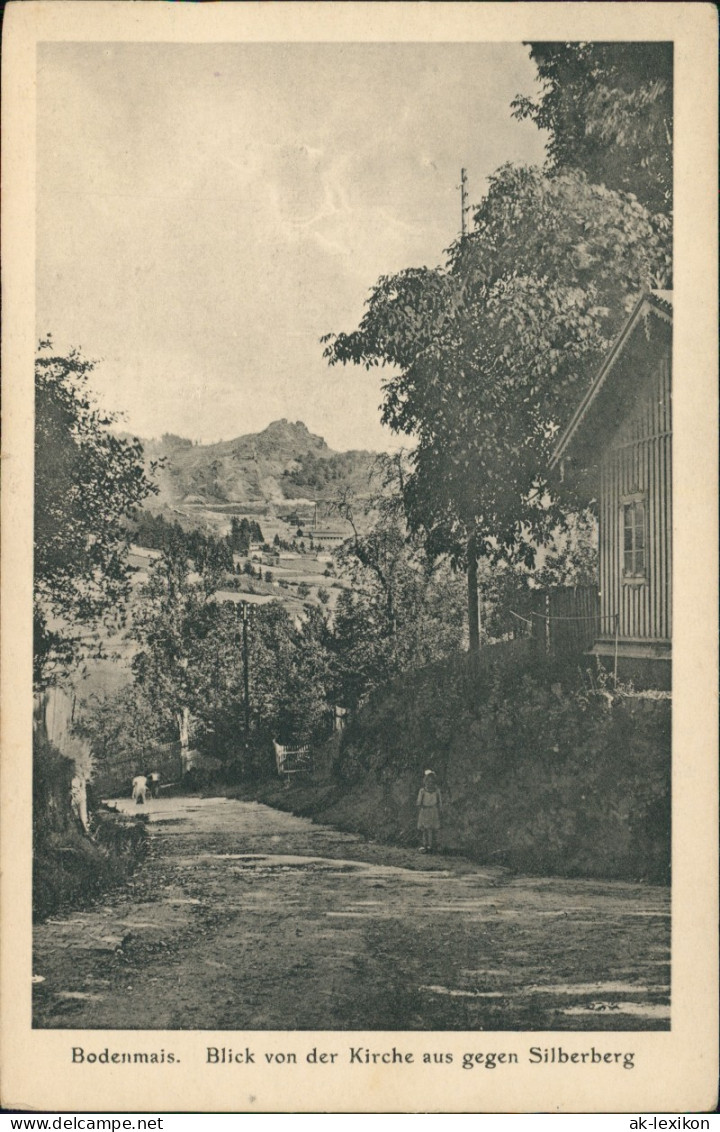 Ansichtskarte Bodenmais Straßenpartie 1922 - Bodenmais