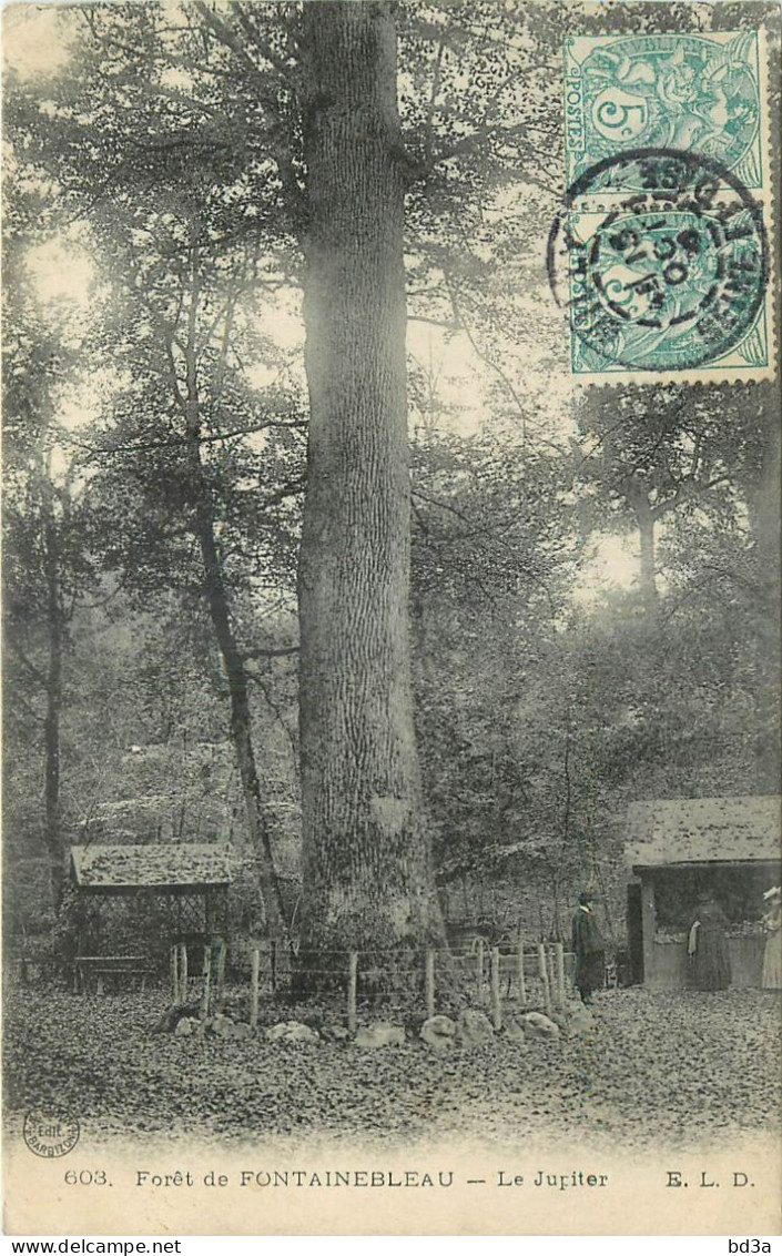 CACHET TIMBRE A DATE BRUXELLES ARRIVEE 1906 + CACHET FACTEUR 11  - Rural Post