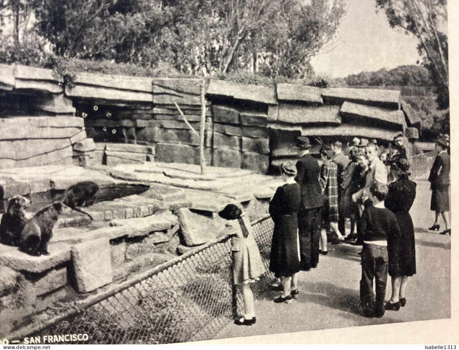 PHOTO SNAPSHOT 1960 SAN FRANCISCO Homme Femme Au Zoo De San Francisco, Enfants, Femme Qui Marche - San Francisco