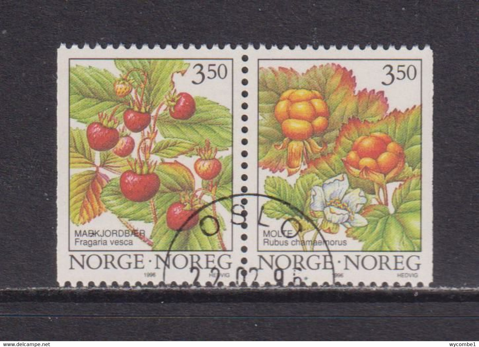 NORWAY - 1996 Wild Berries  Booklet Pair Used As Scan - Gebruikt