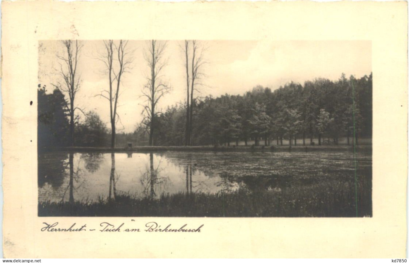 Herrnhut - Teich Am Birkenbusch - Herrnhut