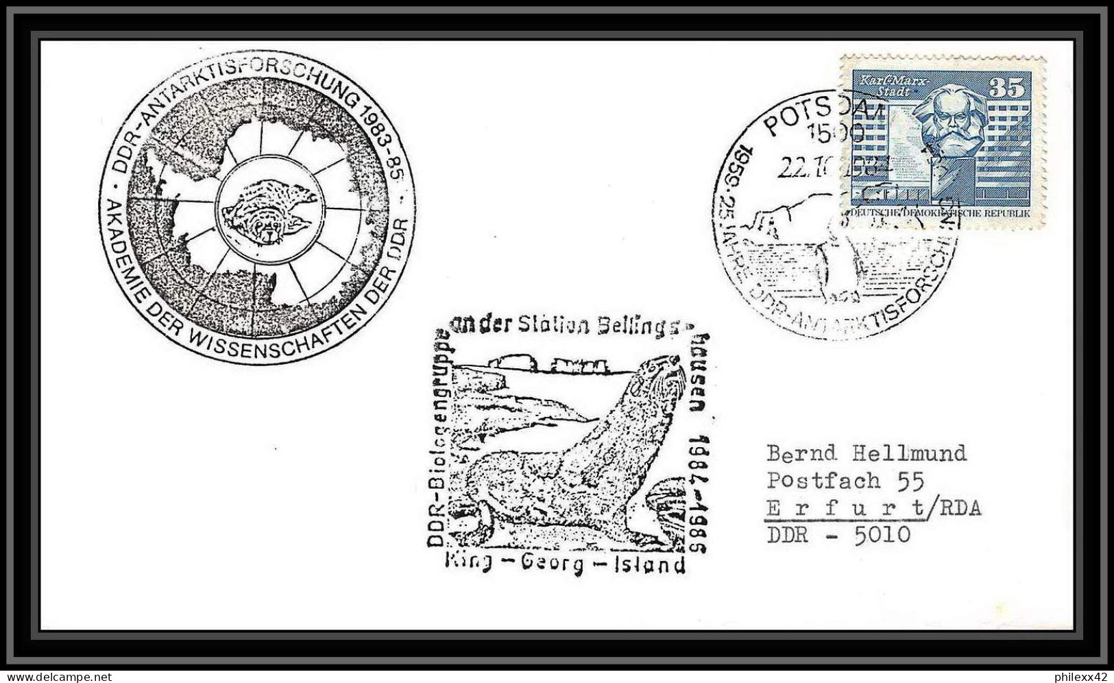 0952 Antarctic Polar Antarctica Allemagne (germany) (germany DDR) Lettre (cover) 22/10/1984 PHOQUE - Research Stations