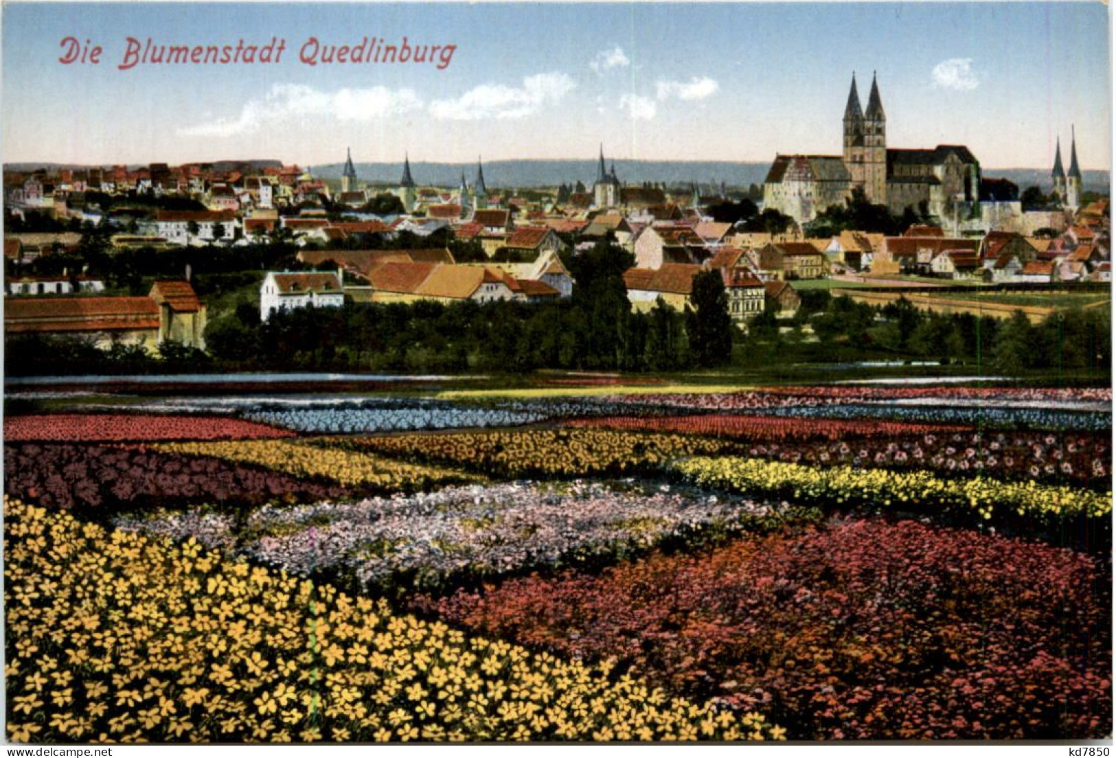 Blumenstadt Quedlinburg - Quedlinburg