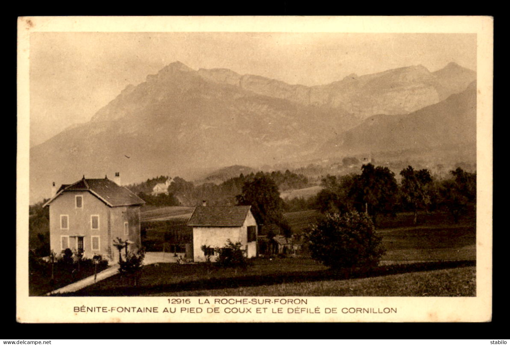 74 - LA ROCHE-SUR-FORON - BENITE-FONTAINE ET LE DEFILE DE CORNILLON - La Roche-sur-Foron