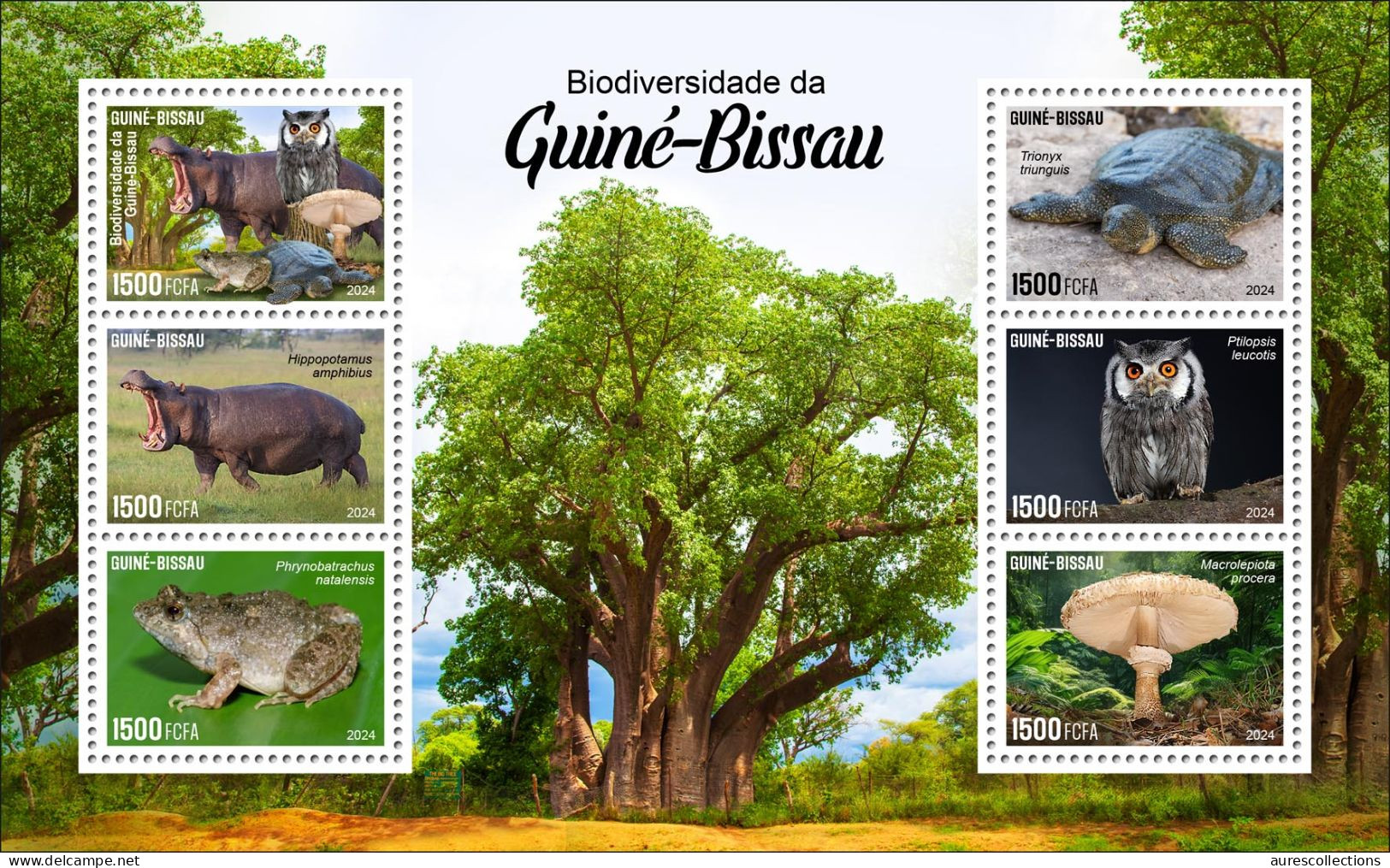 GUINEA BISSAU 2024 MS 6V - REG & OVERPRINT - MUSHROOMS OWL OWLS FROG FROGS TURTLE TURTLES HIPPOPOTAMUS BAOBAB MNH - Frösche