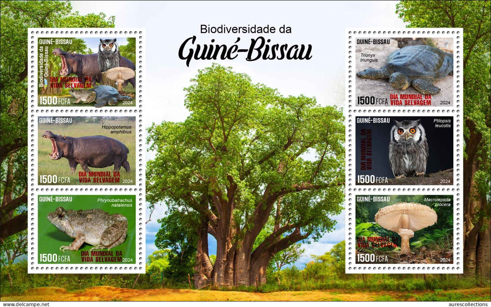 GUINEA BISSAU 2024 MS 6V - REG & OVERPRINT - MUSHROOMS OWL OWLS FROG FROGS TURTLE TURTLES HIPPOPOTAMUS BAOBAB MNH - Frösche