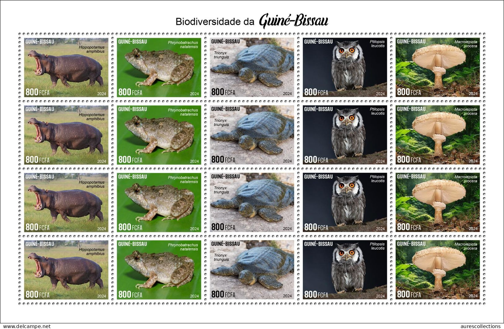 GUINEA BISSAU 2024 FULL PACK 18 M/S - REG & OVERPRINT - MUSHROOMS OWLS FROG FROGS TURTLE TURTLES HIPPOPOTAMUS BAOBAB MNH