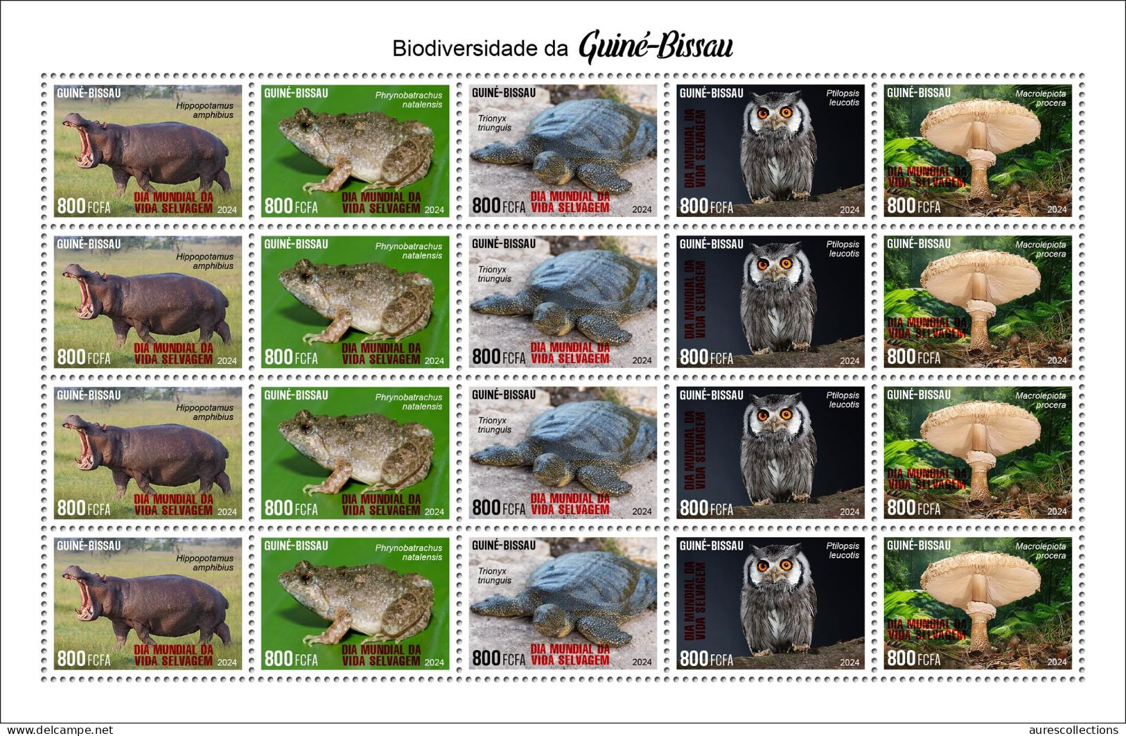 GUINEA BISSAU 2024 FULL PACK 18 M/S - REG & OVERPRINT - MUSHROOMS OWLS FROG FROGS TURTLE TURTLES HIPPOPOTAMUS BAOBAB MNH