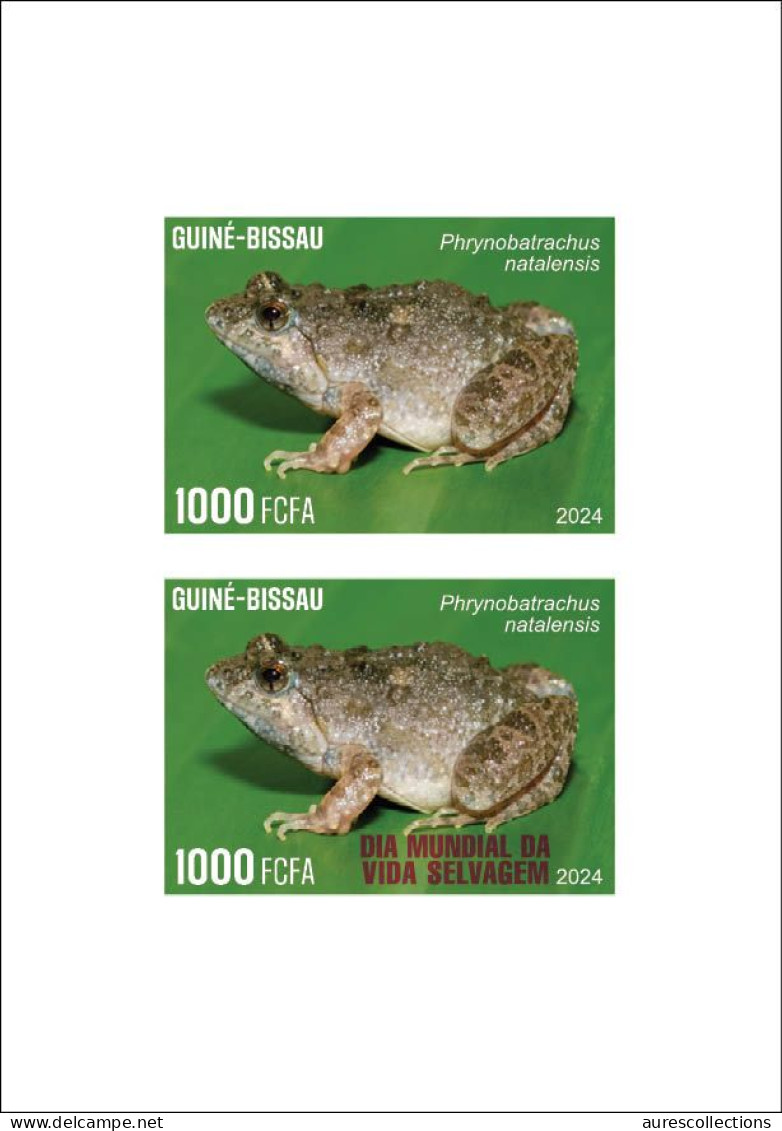 GUINEA BISSAU 2024 SET OF 6 DELUXE PROOF - REG & OVERPRINT - MUSHROOMS OWLS FROG FROGS TURTLE TURTLES HIPPOPOTAMUS - Kikkers