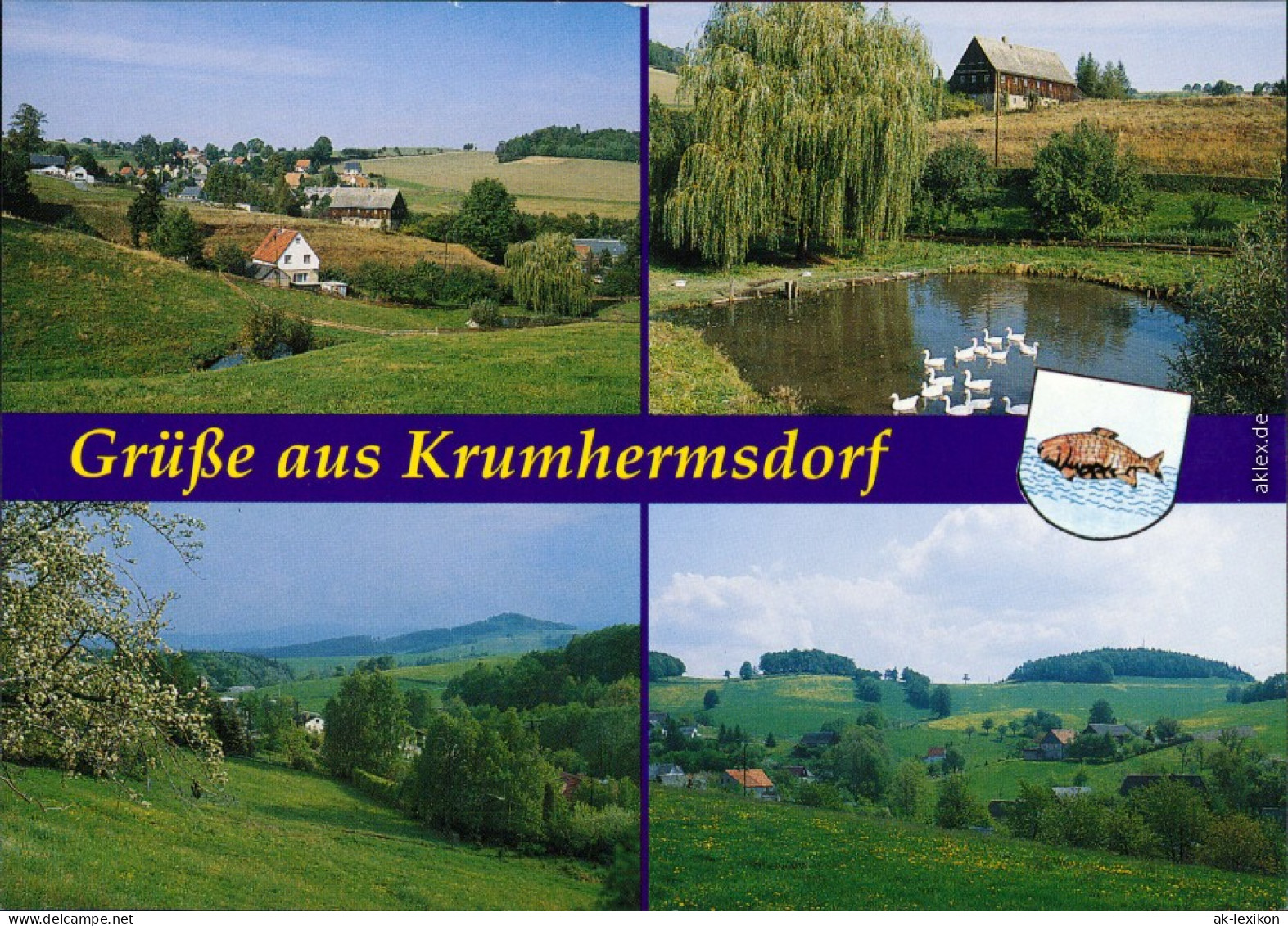 Krumhermsdorf-Neustadt (Sachsen) Panorama, Teich, Landschaft 2000 - Neustadt