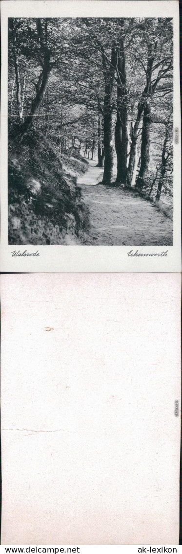 Ansichtskarte Walsrode Waldpartie - Ekernworth 1932  - Walsrode