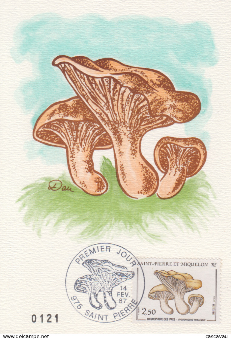 Carte  Maximum  1er  Jour   SAINT  PIERRE  Et   MIQUELON    Champignon   1987 - Maximumkarten