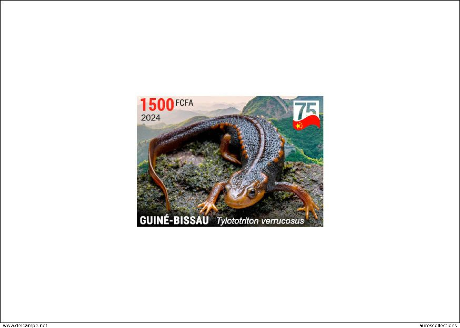 GUINEA BISSAU 2024 DELUXE PROOF - CHINA DIPLOMATIC RELATIONS - NEWT TRITON AMPHIBIANS AMPHIBIENS - Autres & Non Classés