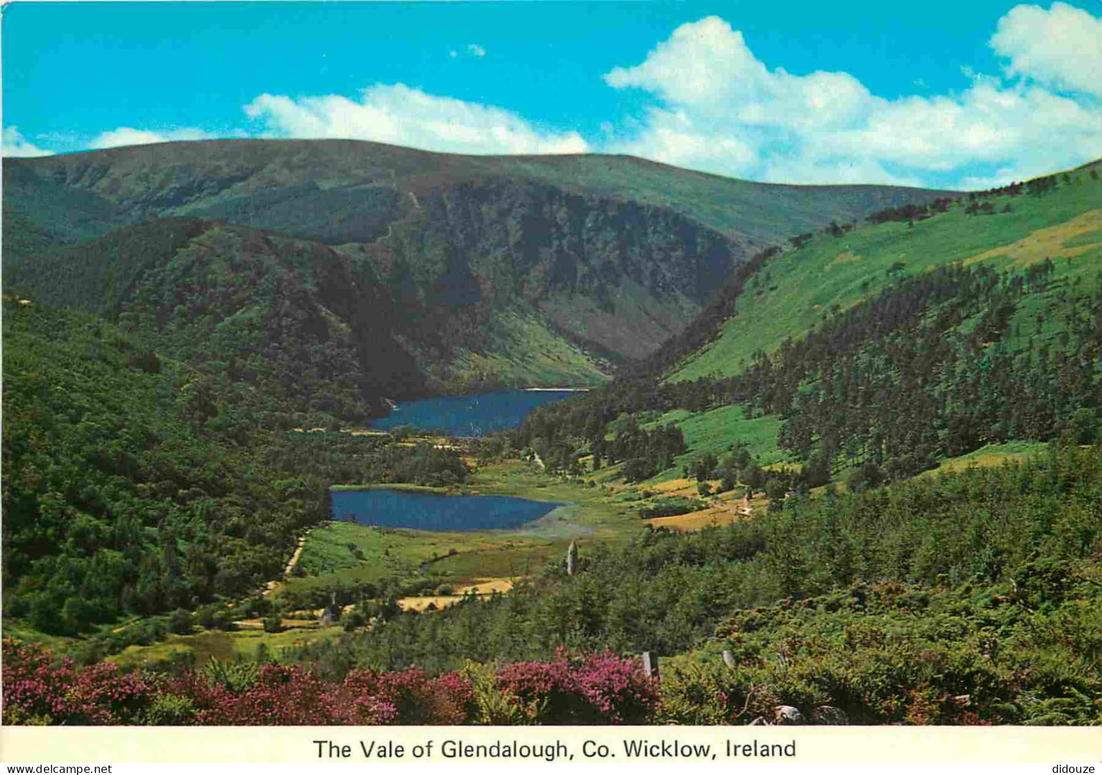 Irlande - Wicklow - Glendalough - Vale Of Glendalough - CPM - Voir Scans Recto-Verso - Wicklow