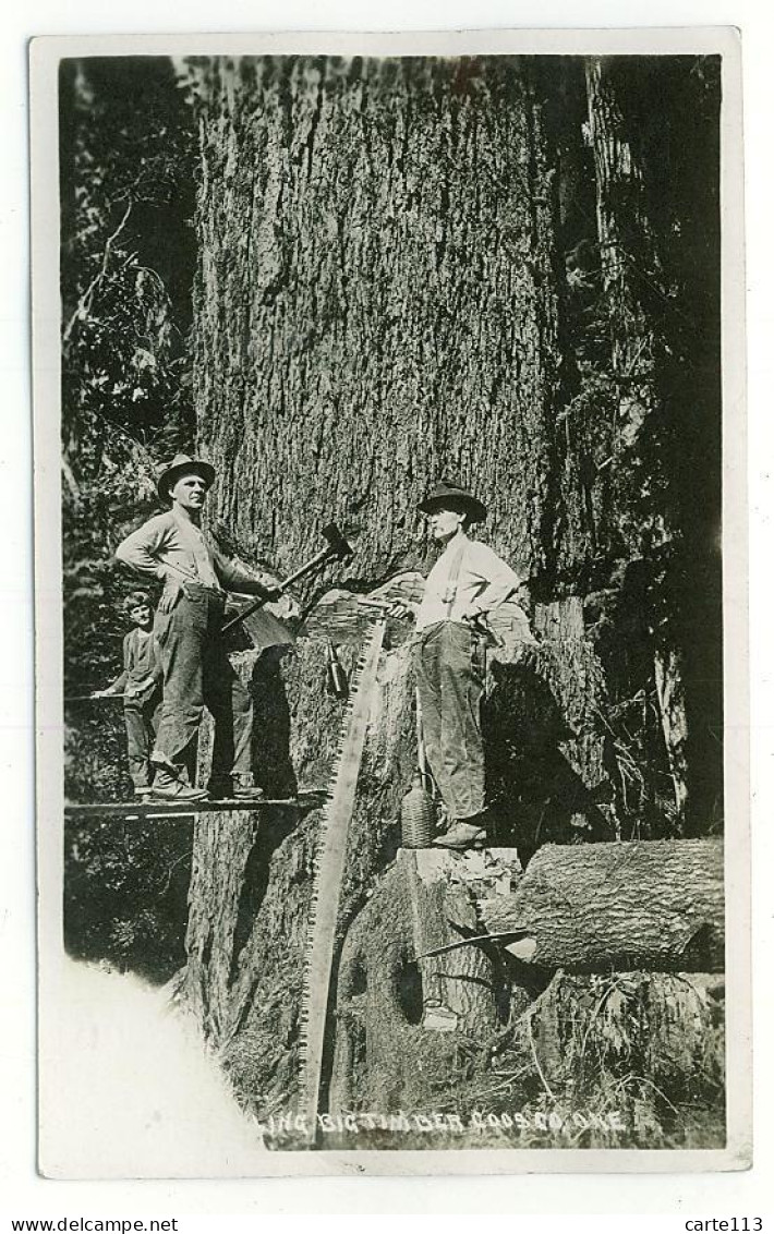 0 - T7190CPA - COOS COUNTY - OREGON - USA - Big Timber  - Bucheronage - CARTE PHOTO - Très Bon état - AMERIQUE - Andere & Zonder Classificatie