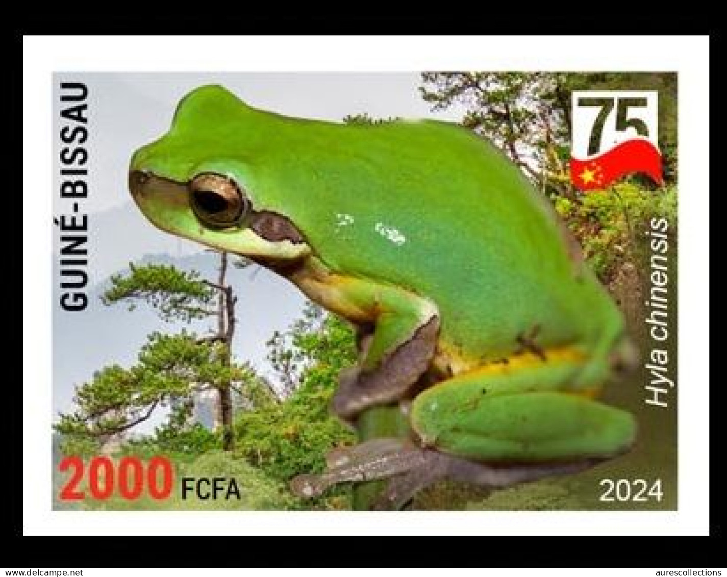 GUINEA BISSAU 2024 IMPERF STAMP 1V - AMPHIBIANS & REPTILES - CHINESE TREE FROG FROGS GRENOUILLES - CHINA 75 ANNIV. - MNH - Kikkers