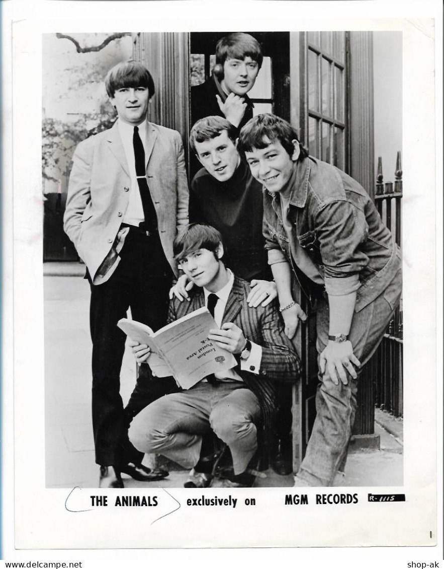 C6049/ The Animals Eric Burdon  Original Pressefoto Foto 26 X 20,5 Cm 1966 - Otros & Sin Clasificación