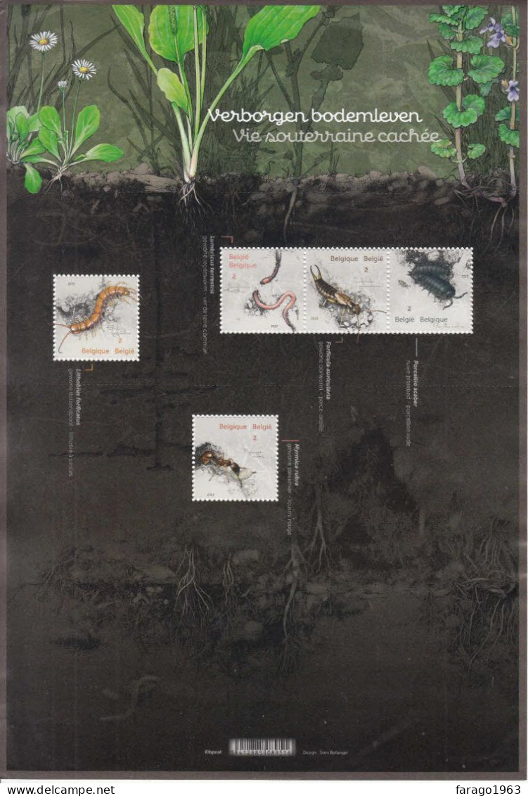 2023 Belgium Soil Insects Beetles,ants,worms LARGE M/sheet Of 5 MNH @ BELOW FV * Wrinkle To Top Edge Stamps OK* - Ungebraucht