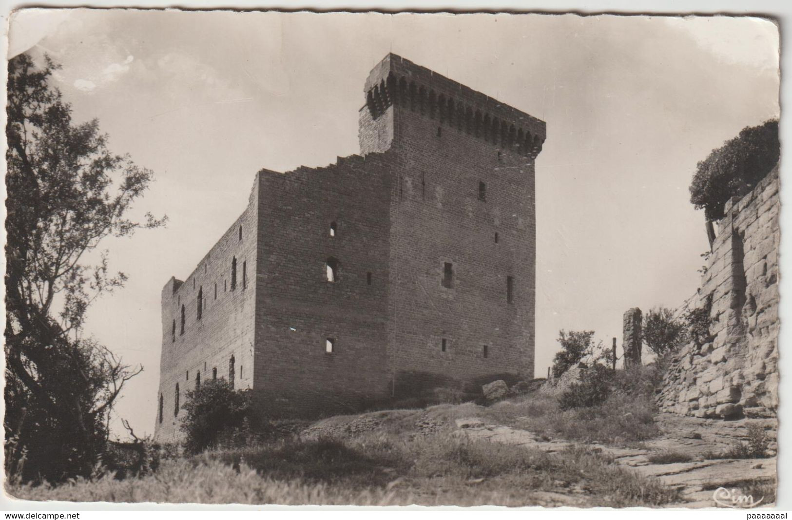 CHATEAUNEUF DU PAPE  VUE EXTERIEURE DU VIEUX CHATEAU - Chateauneuf Du Pape