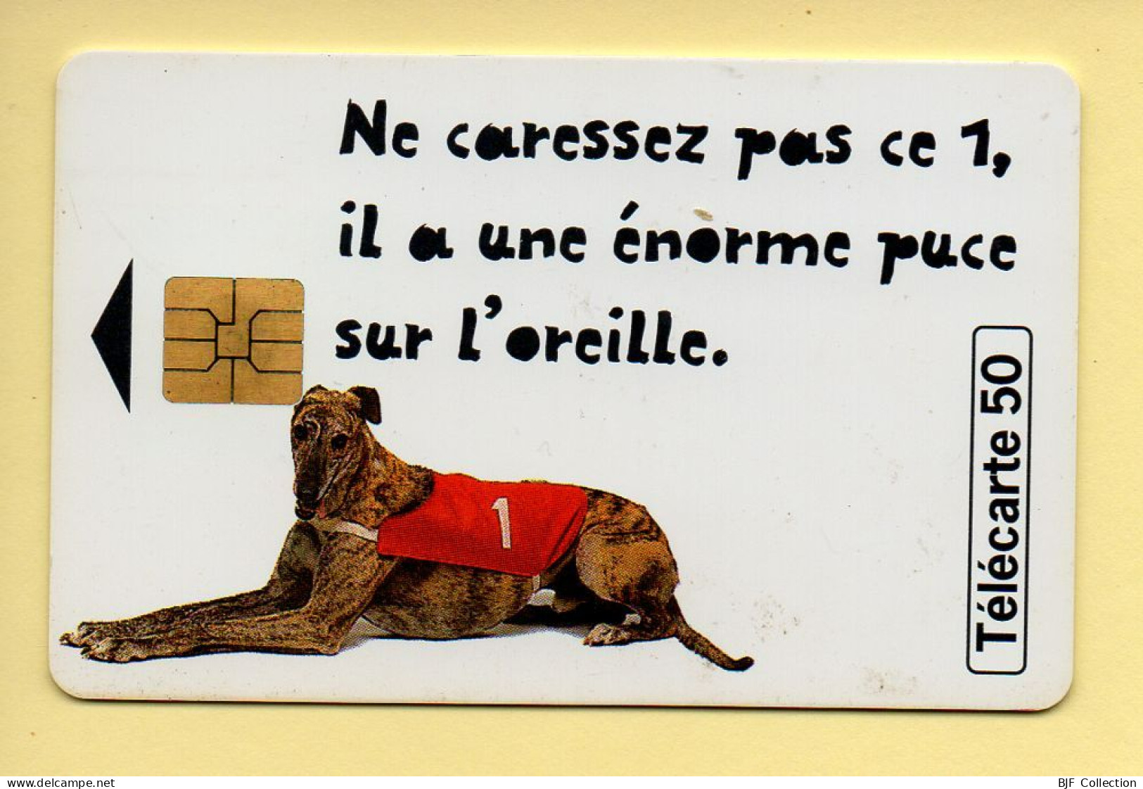 Télécarte 1998 : Loto Chien / 50 Unités (voir Puce Et Numéro Au Dos) - 1998