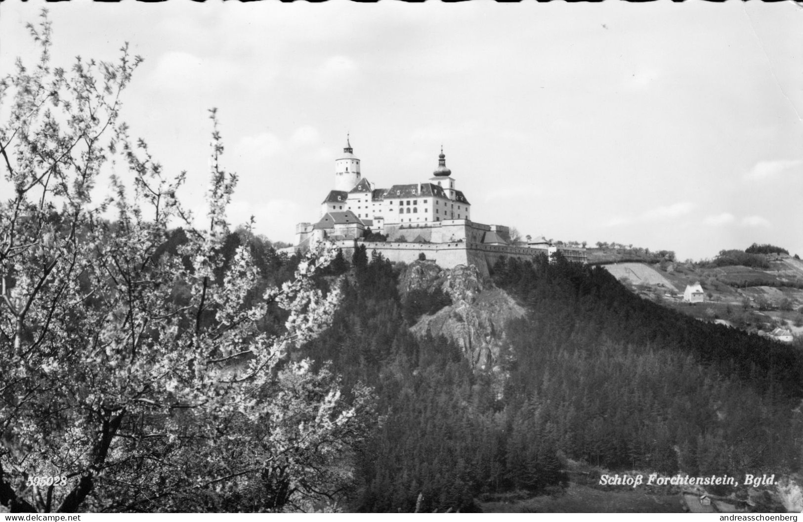 Schloss Forchtenstein - Forchenstein