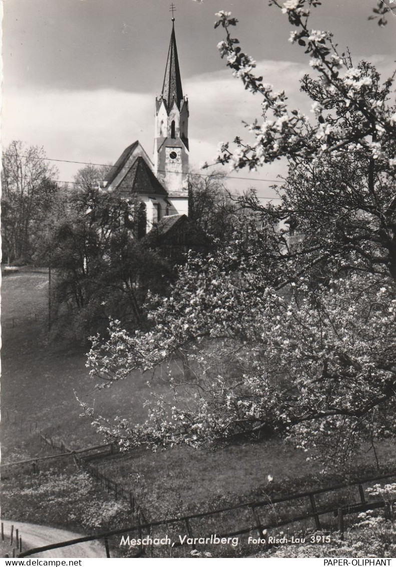 A 6840 GÖTZIS - MESCHACH, Ortsansicht Mit Kirche - Götzis