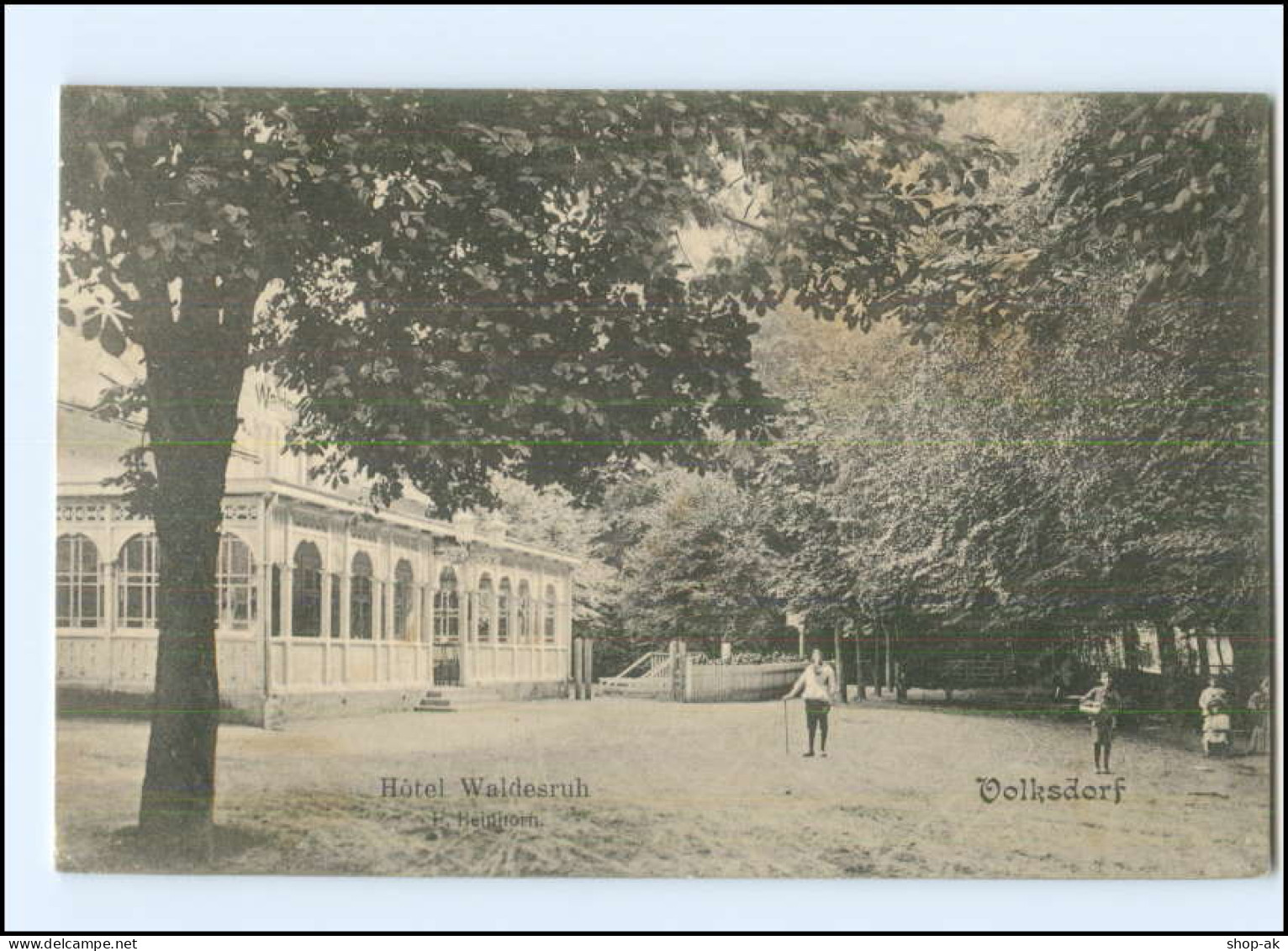 XX004095/ Hamburg Volksdorf Hotel Waldesruh AK Ca.1910 - Wandsbek