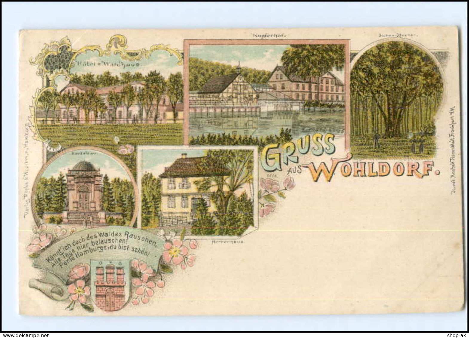 XX003726/ Hamburg Gruß Aus Wohldorf Litho AK Ca.1900 - Wandsbek