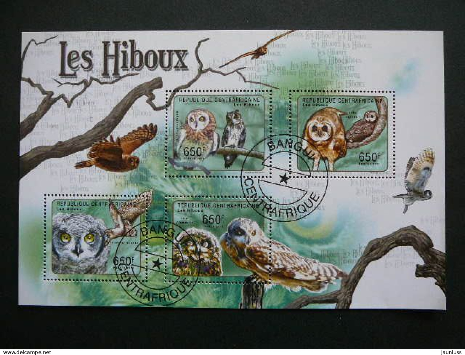 Owls. Eulen. Les Hiboux  # Central African Republic # 2011 Used S/s #156 Birds - Uilen