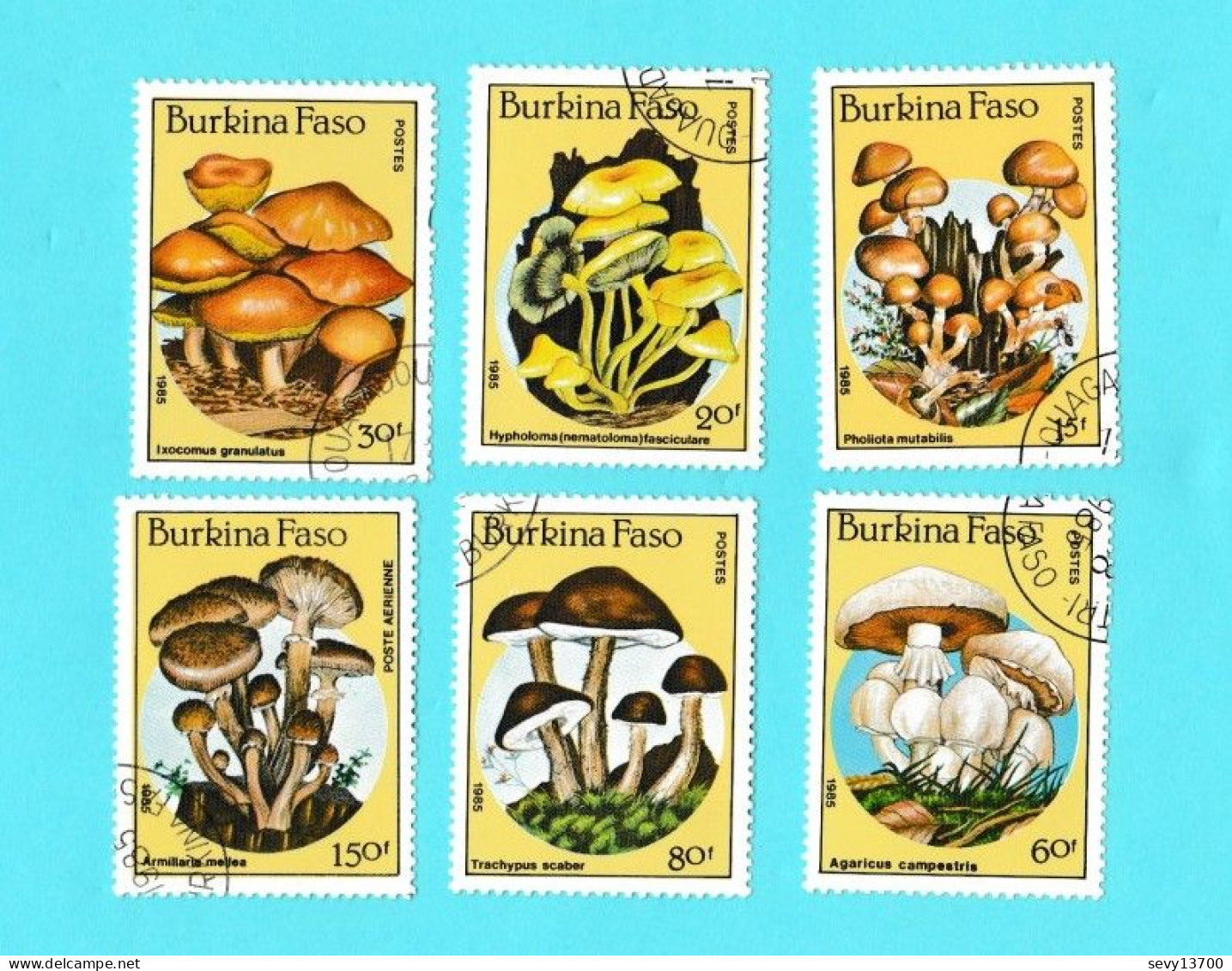 Burkina Faso Lot De 18 Timbres Les Tableaux De Botticelli 1985 - 6 Timbres Les Trains 1985 - 6 Timbres Les Champignons - Burkina Faso (1984-...)