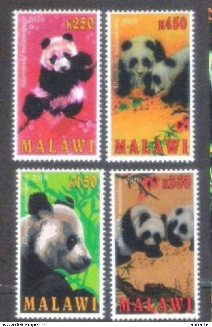 2590  Bears - Ours - Pandas - Malawi -  MNH - 2,25 - Orsi