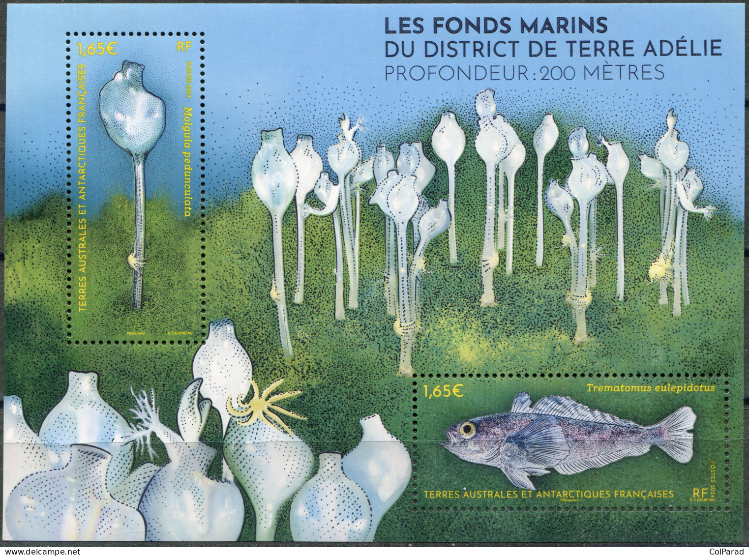 TAAF - 2024 - SOUVENIR SHEET MNH ** - The Seabed Of Adélie Land - Unused Stamps