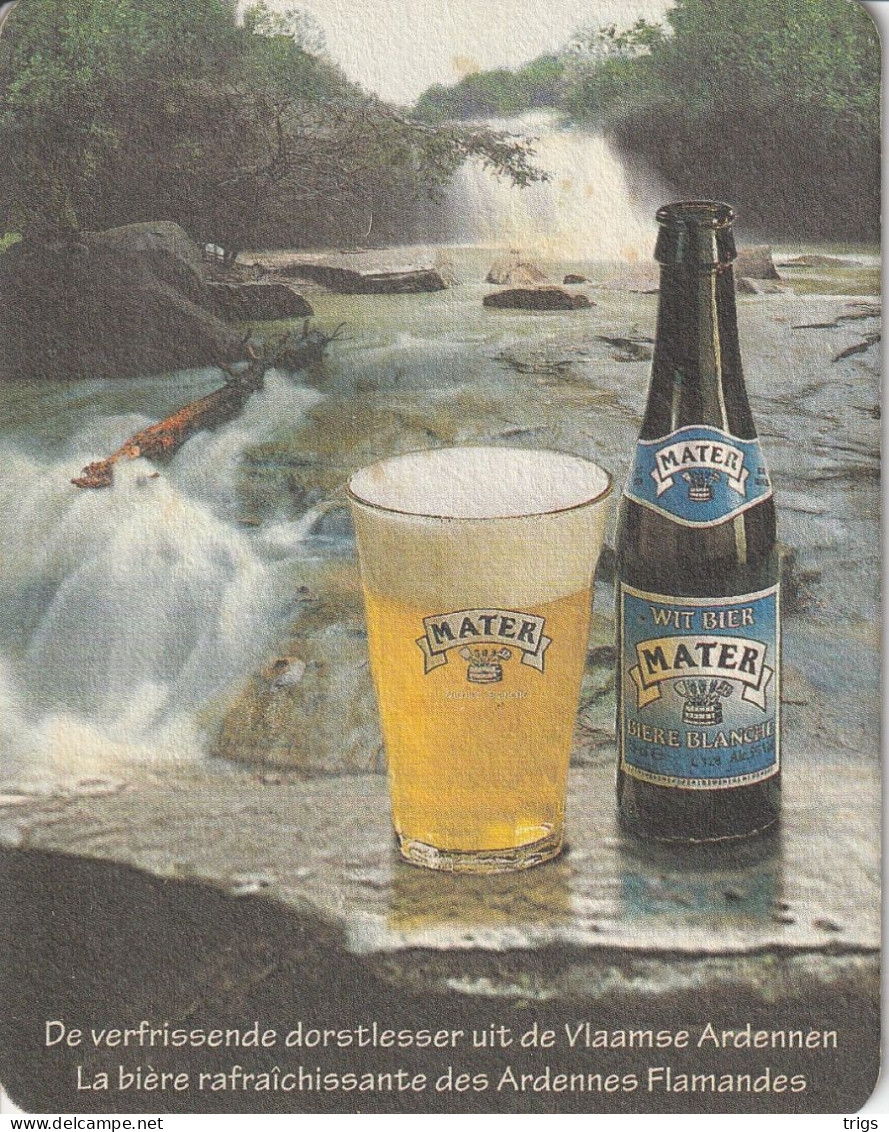 Mater Witbier - Bierdeckel