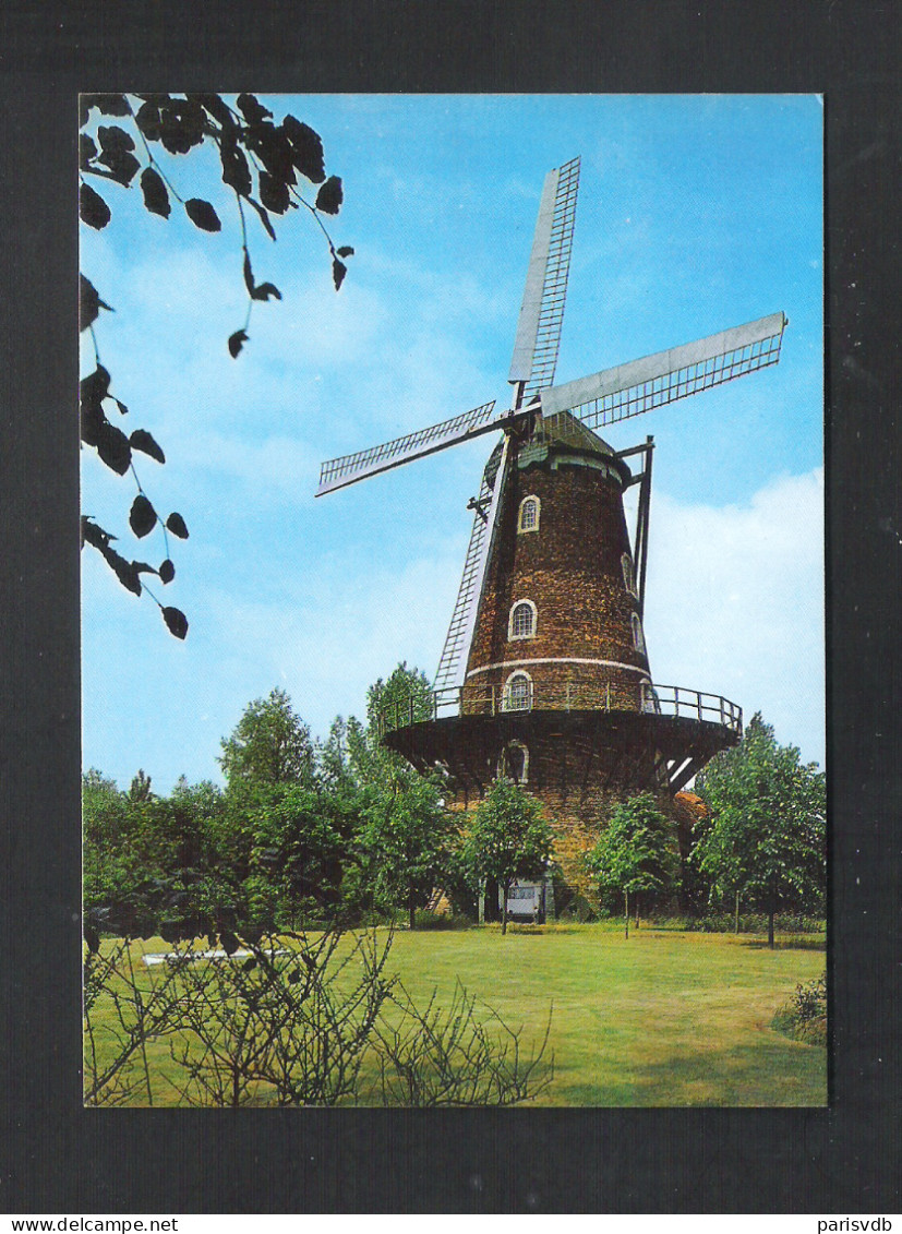 SINT PAUWELS - ROOMAN'S MOLEN  (11.003) - Sint-Gillis-Waas