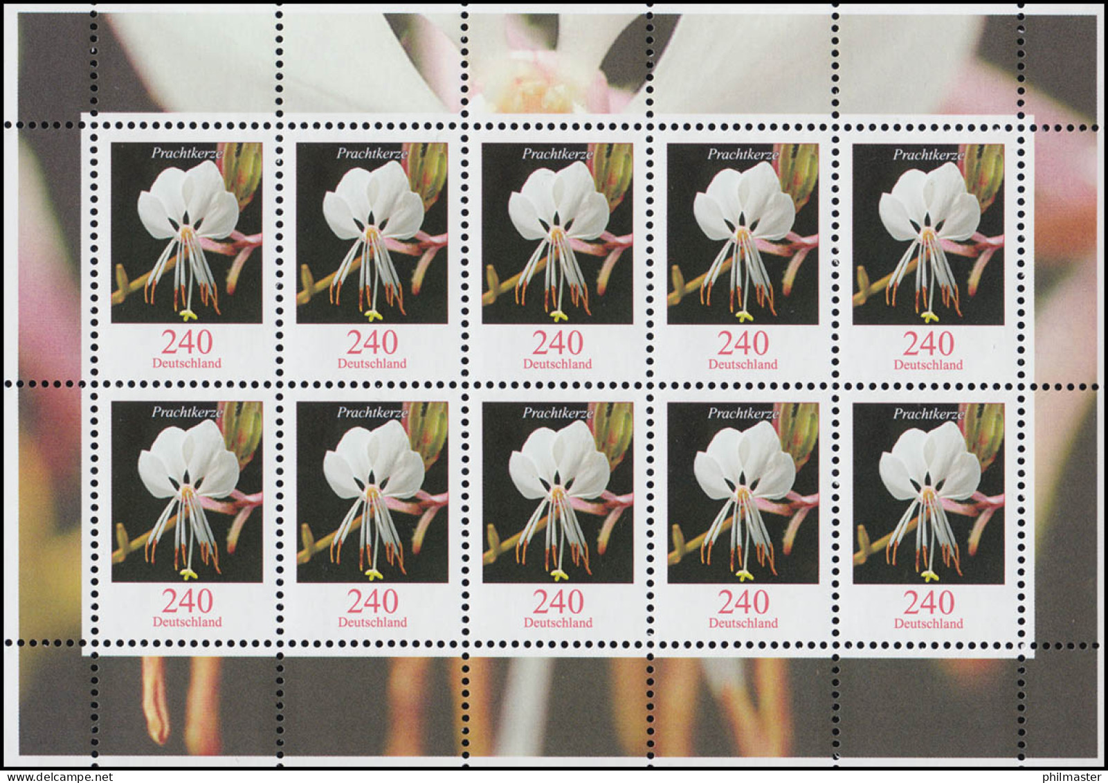 2969 Blumen 240 Cent Prachtkerze - Zehnerbogen ** Postfrisch - 2001-2010