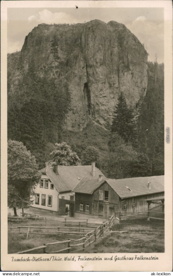 Ansichtskarte Tambach-Dietharz Falkenstein Und Gasthaus Falkenstein 1957 - Tambach-Dietharz