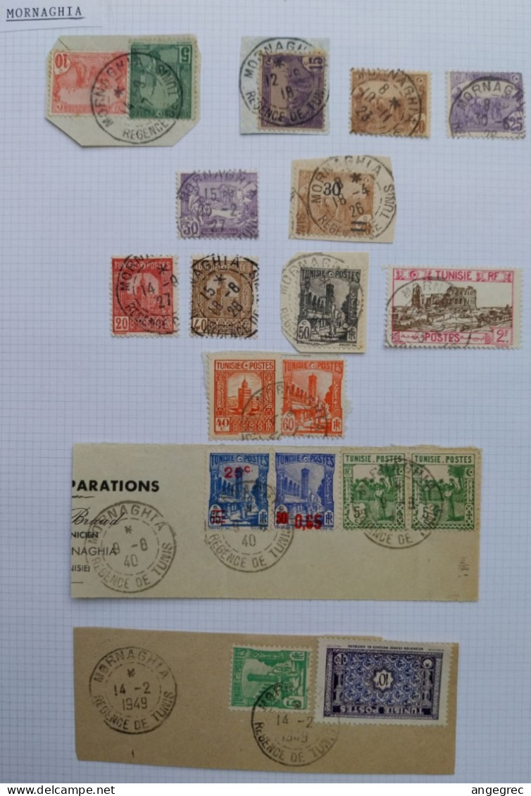 Tunisie Lot Timbre Oblitération Choisies Mornaghia Dont Fragment  à Voir - Used Stamps