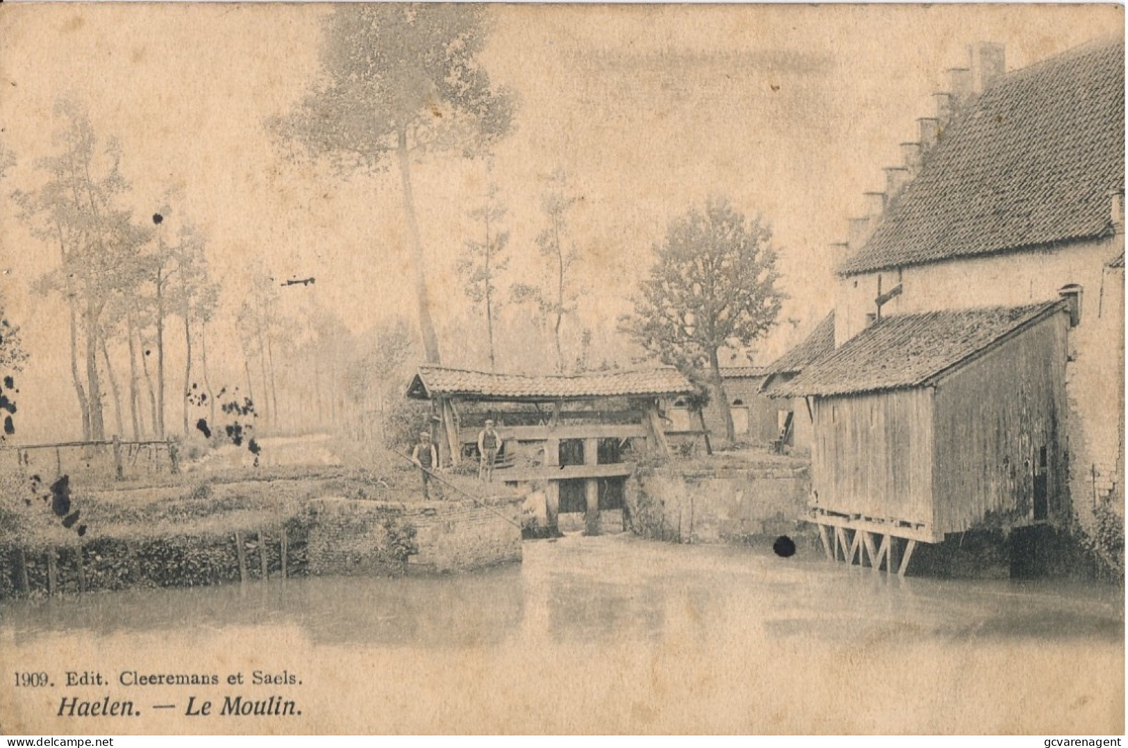 HAELEN   LE MOULIN - Halen