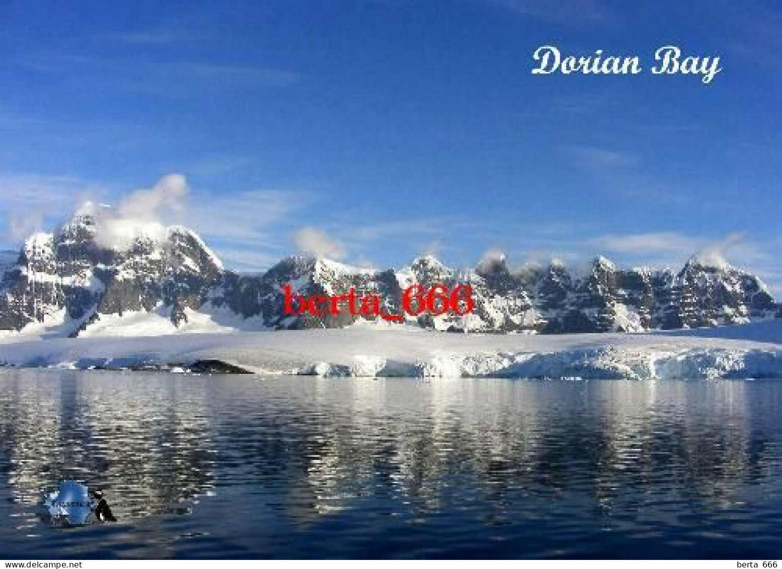 Antarctica Dorian Bay New Postcard - Sonstige & Ohne Zuordnung