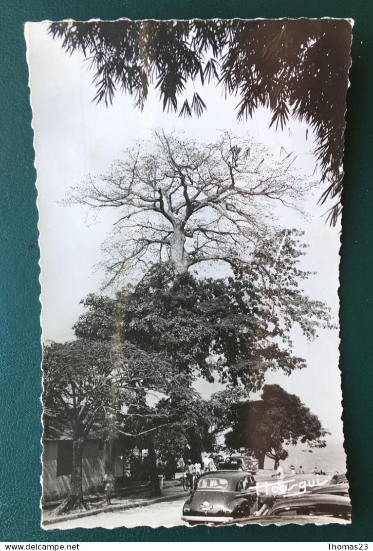 Le Beach. Le Baobab Géant, Ed Simarro N° 673 - Brazzaville