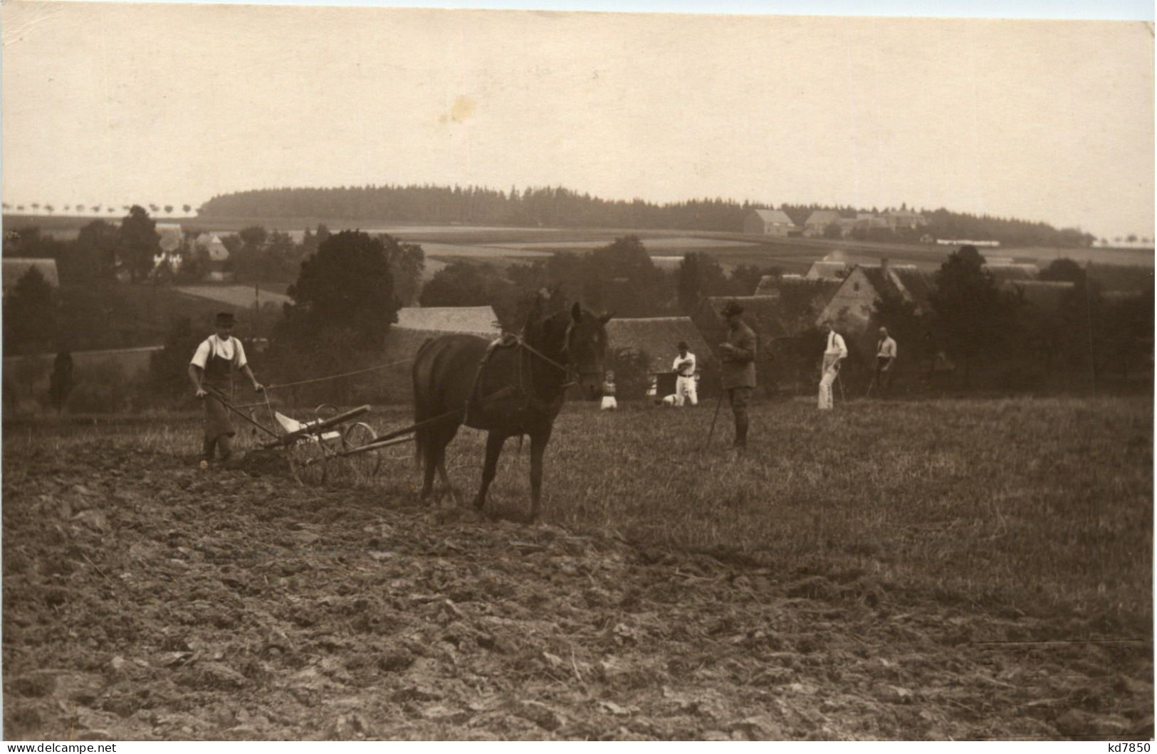 Langenau Bei Leisnig - Leisnig