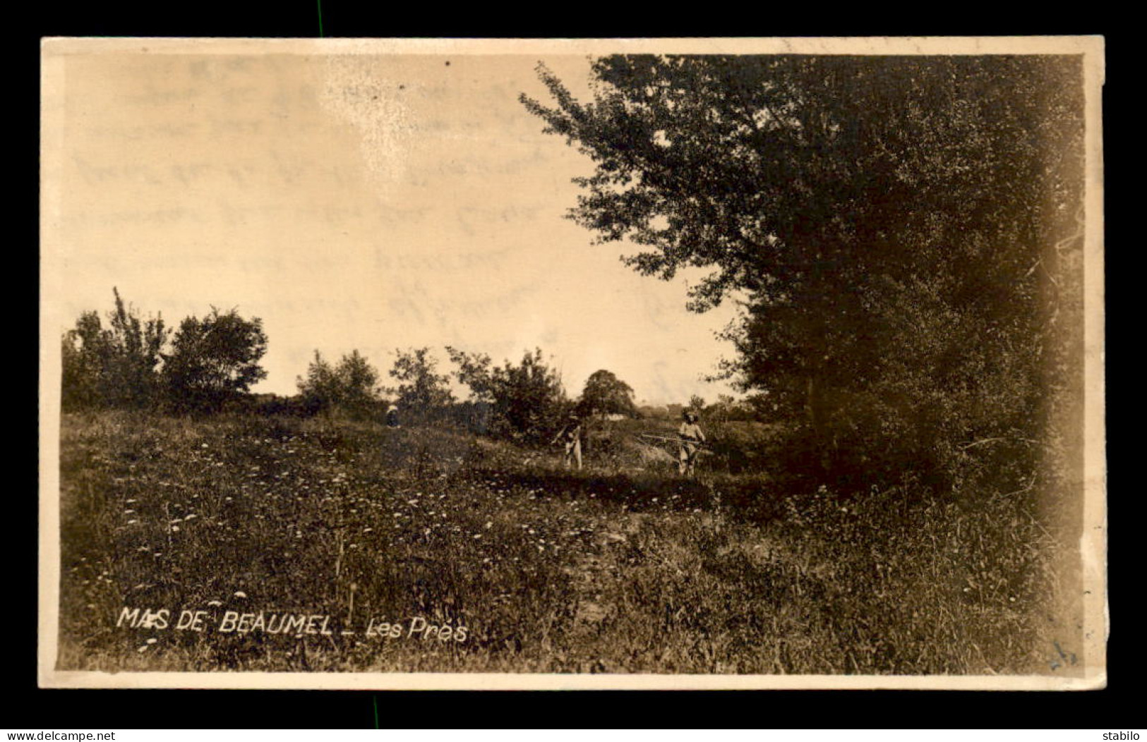 30 - QUISSAC - MAS DE BEAUMEL - LES PRES - CARTE PHOTO ORIGINALE - Quissac