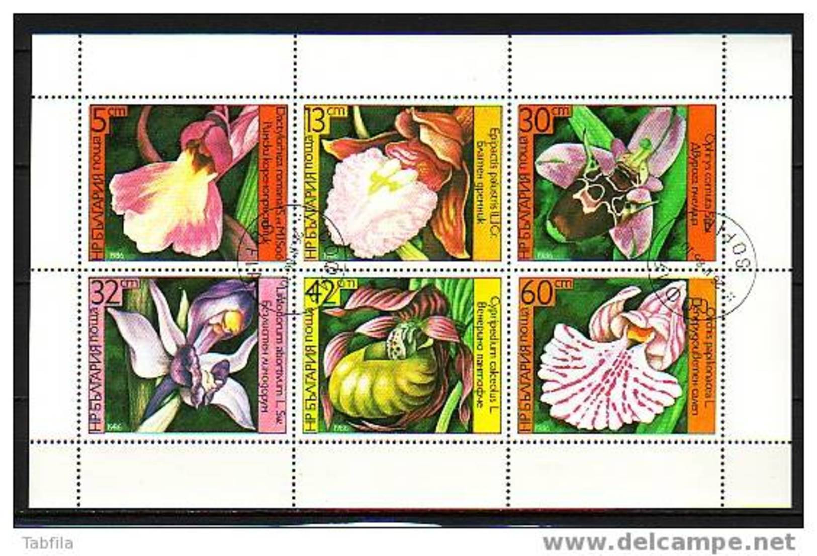 BULGARIA - 1986 - Orchidees - PF Obl. - Used Stamps