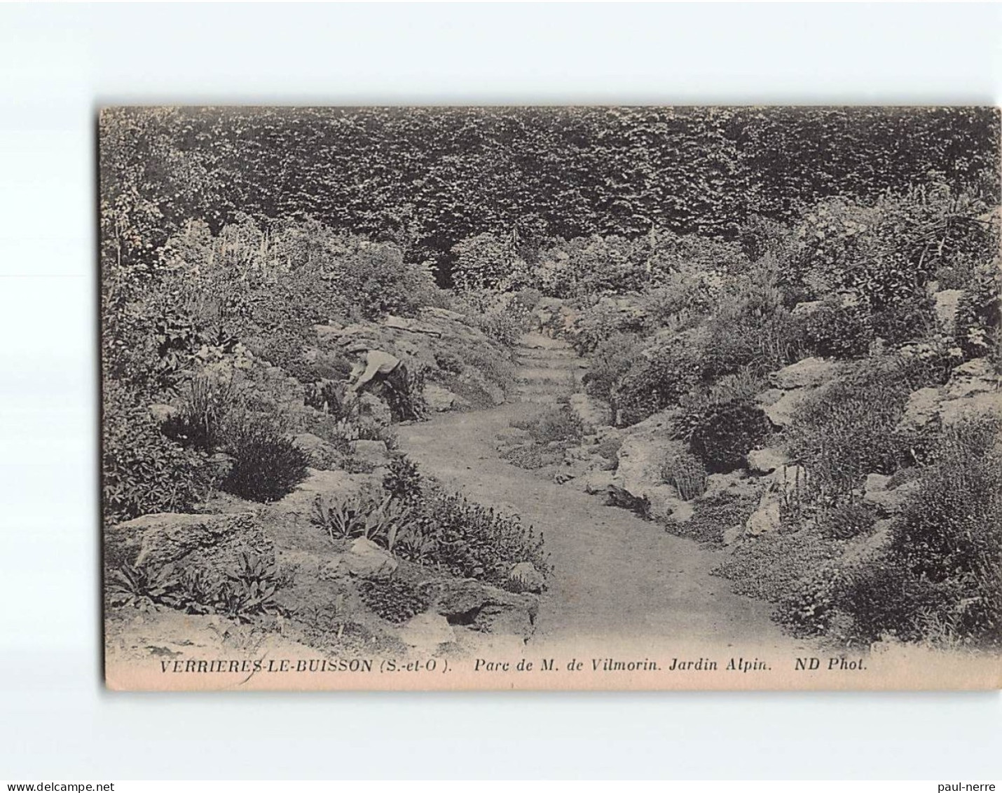 VERRIERE LE BUISSON : Parc De M. De Vilmorin, Jardin Alpin - Très Bon état - Verrieres Le Buisson