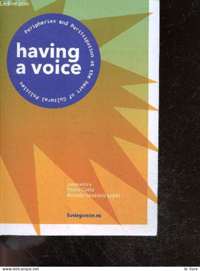 Having A Voice - Conference - Peripheries And Participation At The Heart Of Culture Polities - Community Artistic Practi - Linguistique