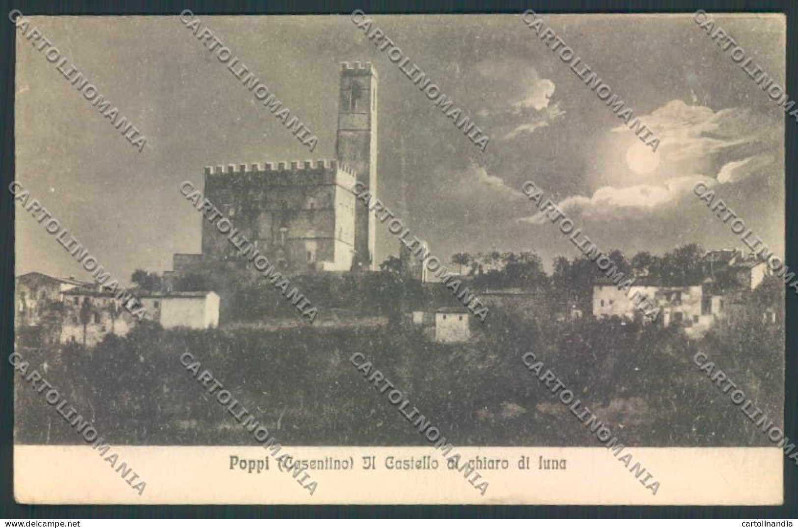 Arezzo Poppi Cartolina ZF1889 - Arezzo